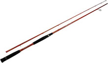 Load image into Gallery viewer, C2WX-1062M-MF-S - Wild Orange Giant 2-Piece Spinning Rod 10'6" Med Mod Fast